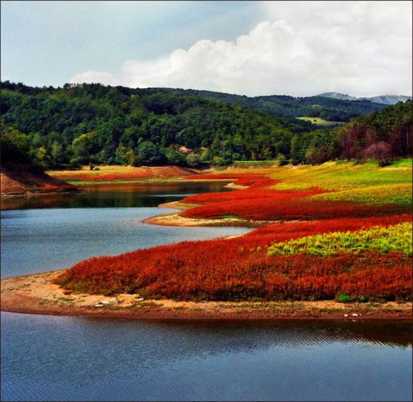 Сербия озёра лето