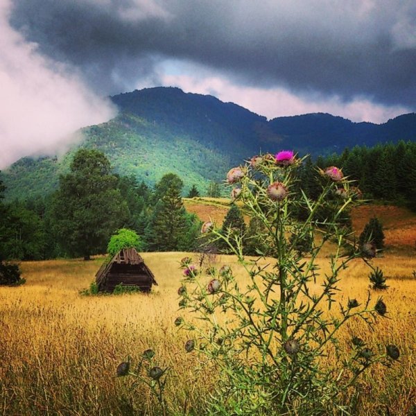 Рушань Сербия