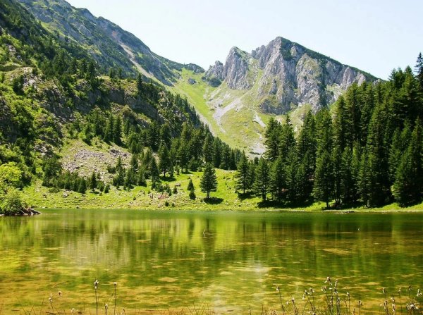Сербия национальный парк