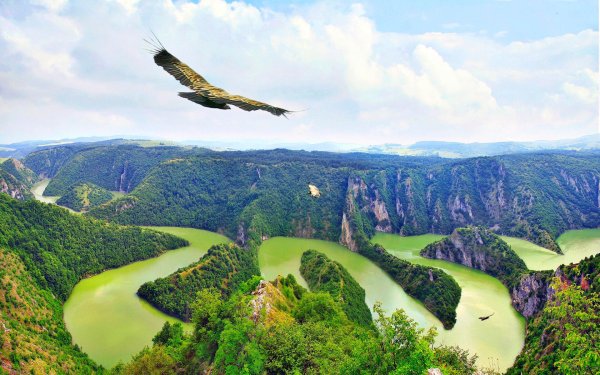 Каньон Увац Сербия