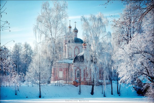 Зимнее спокойствие