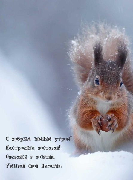 С добрым зимним утром