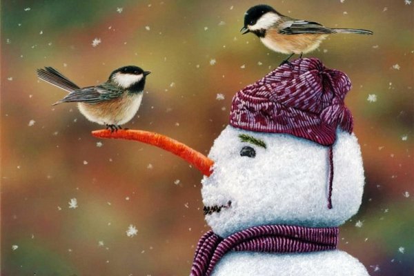 Доброе зимнее утро с птицами