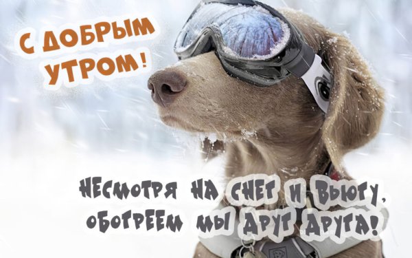 С добрым морозным утром прикольные