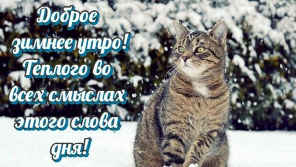 С добрым новогодним утром