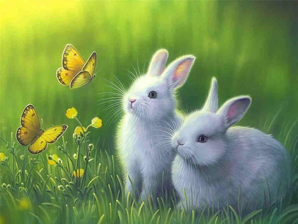 Красивый зайчик