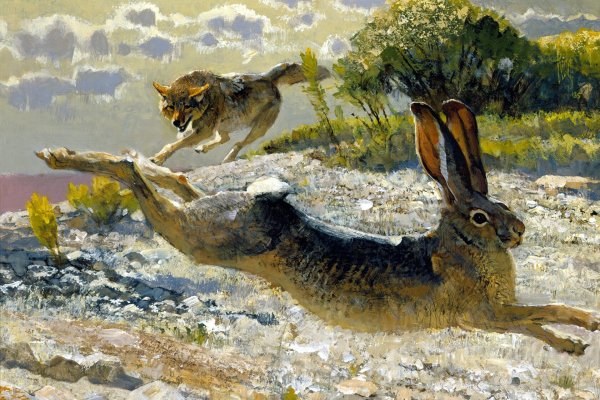 Изображение животных в живописи