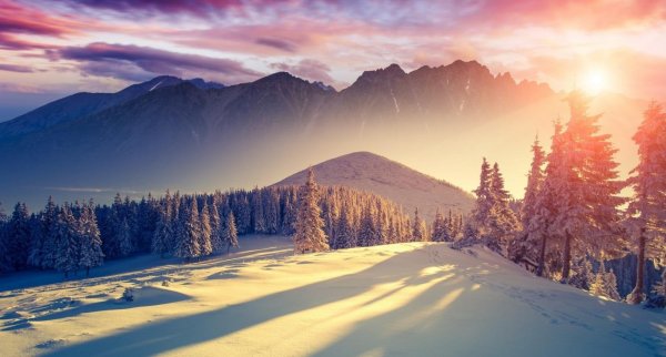 Зимний рассвет