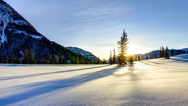 Снежная ночь