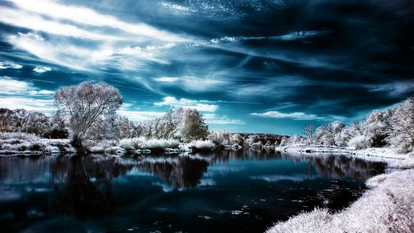 Зимняя природа