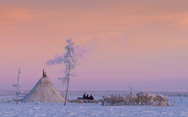 Тундра Ямала