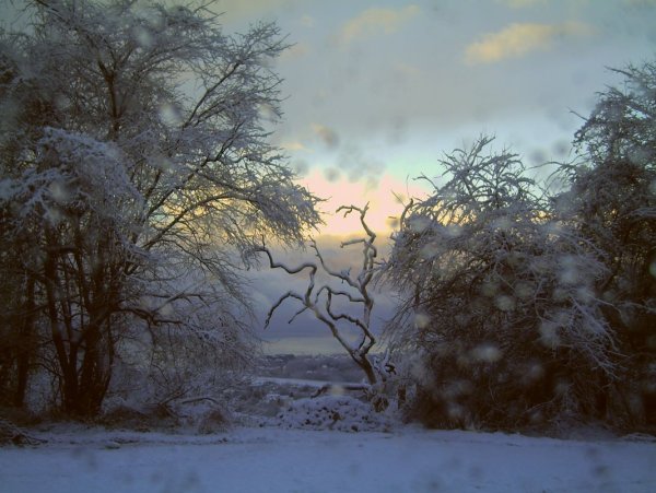 Печальный зимний пейзаж