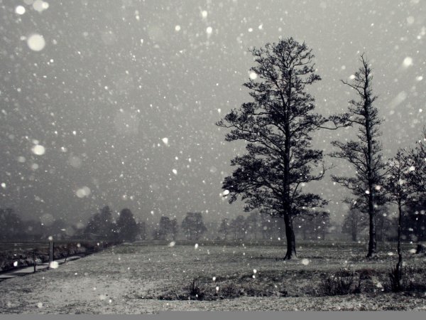 Снегопад чб