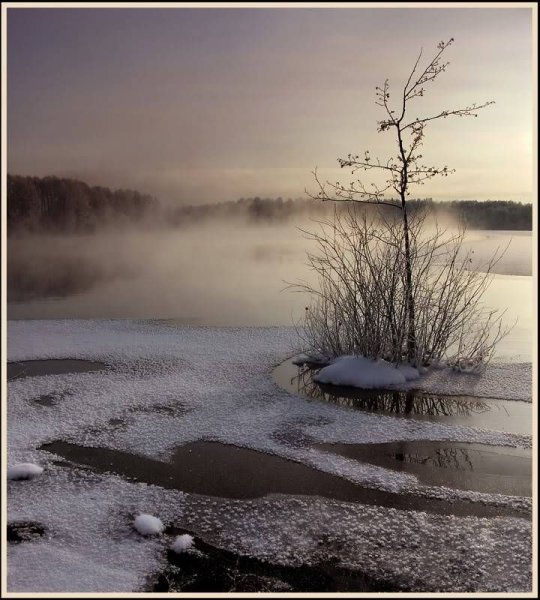 Шатурские озера Даниил Коржонов