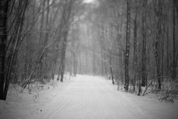 Грустная зима