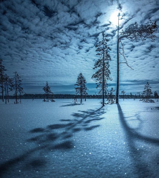 Тишина зима