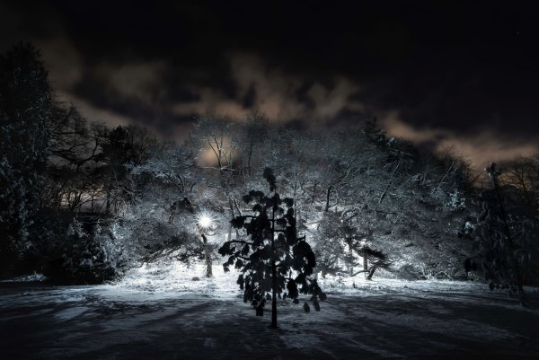 Мрачная зима ночью