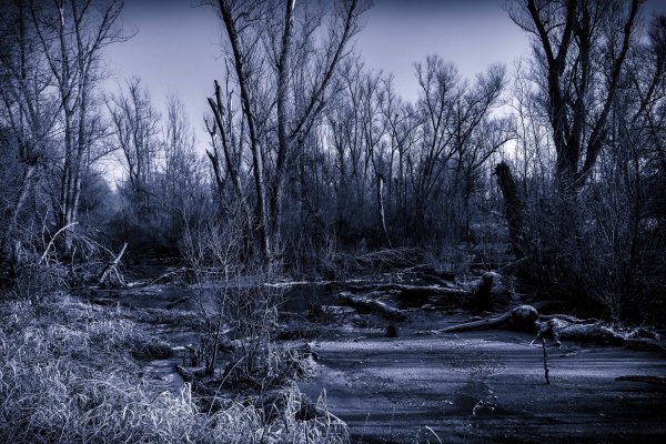 Темное болото