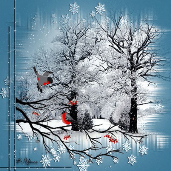 Лучшие зимние открытки