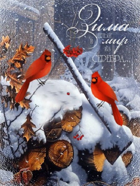 Доброго зимнего дня