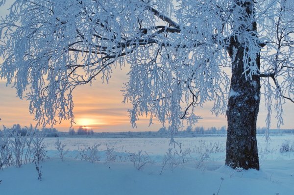 Зимняя открыточка пейзаж