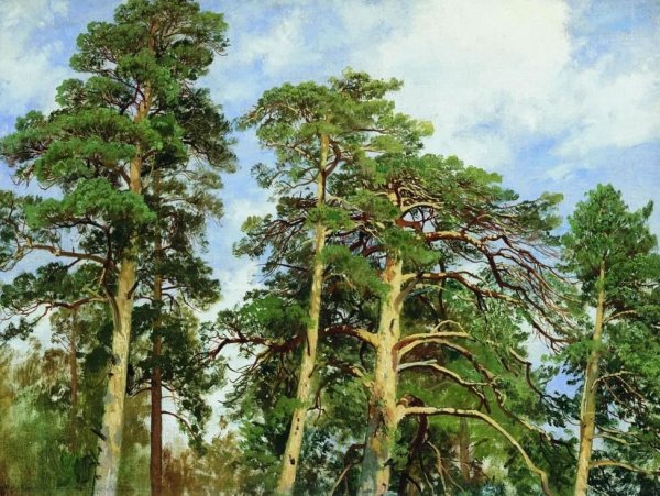 Шишкин Иван Иванович лес вечером