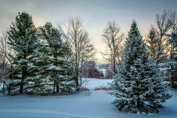 Сибирь зимой