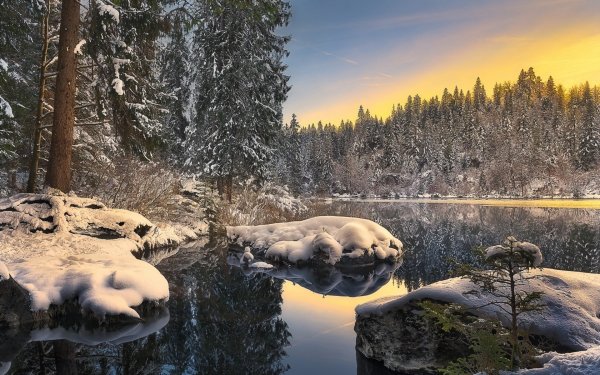 Зима лес озеро