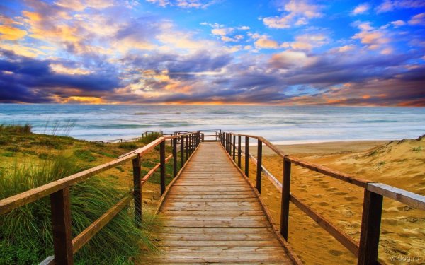 Перспектива природа