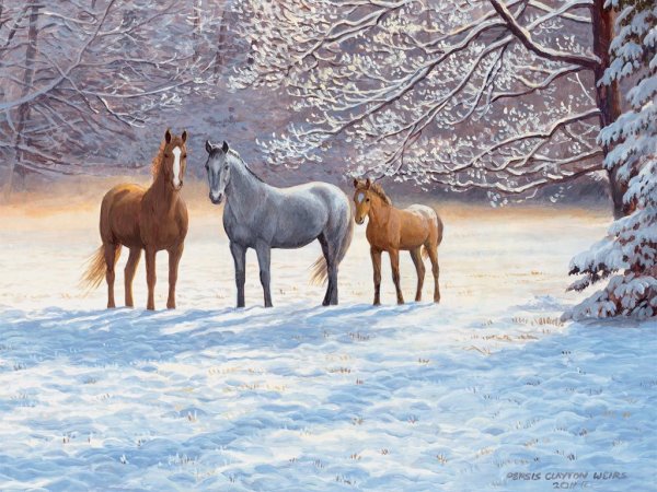 Персис Клейтон Вейерс лошади