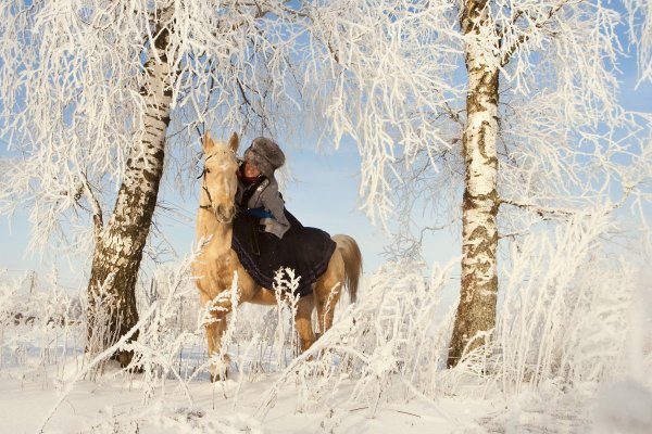 Прогулка на лошадях зимой