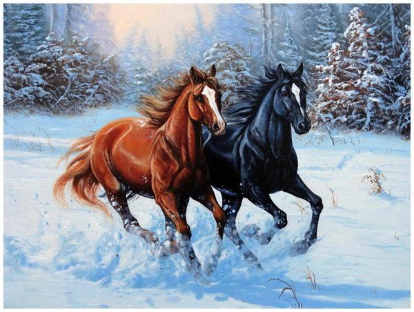 Алмазная мозаика "две лошади"