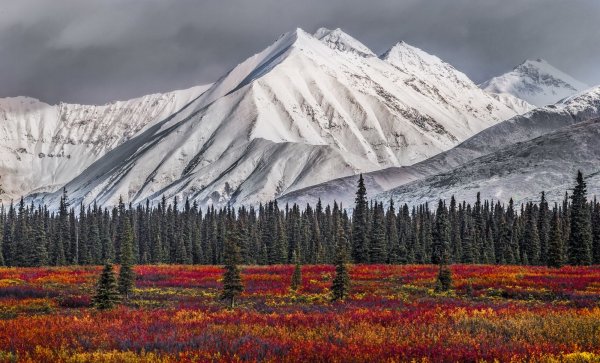 Штаты Америки Аляска