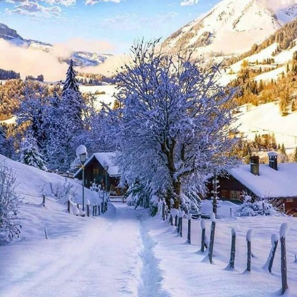 Қиш манзараси