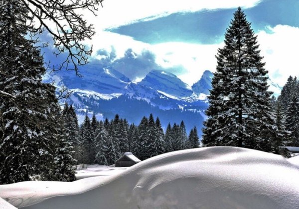 Изображение зимнего пейзажа