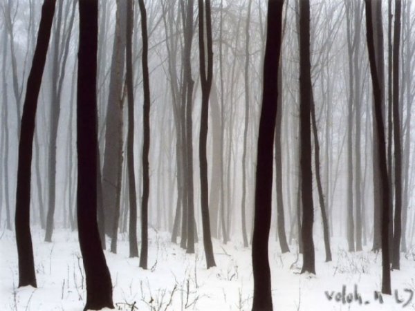 Пейзаж в ахроматических тонах