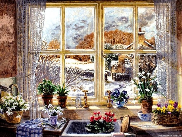 Зимний вид из окна