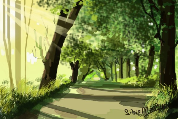 Рисование в фотошопе пейзажи