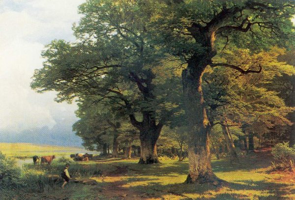 Дубы в живописи маслом