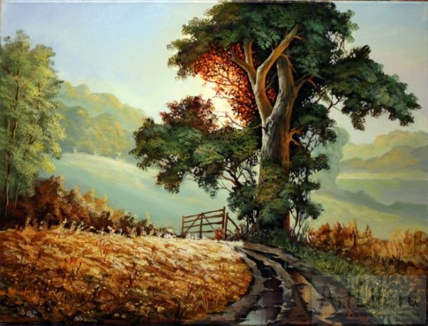 Шишкин дуб Кортина