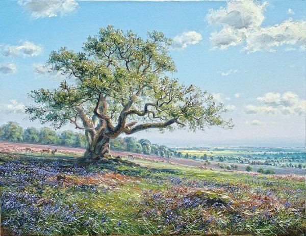 Анохин Николай Юрьевич художник