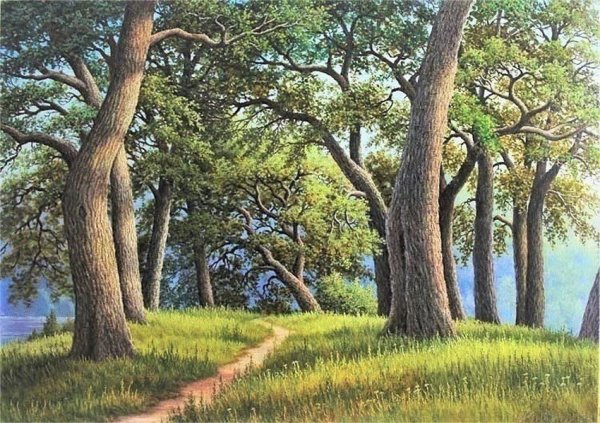 Поляна с деревьями