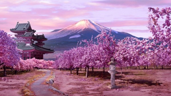 Аниме Макото Синкая ночь