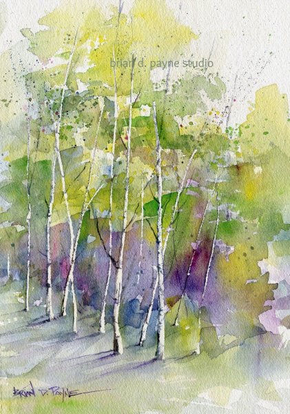 Акварели Thomas Habermann