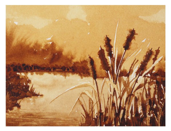 Бхупиндер Сингх акварель