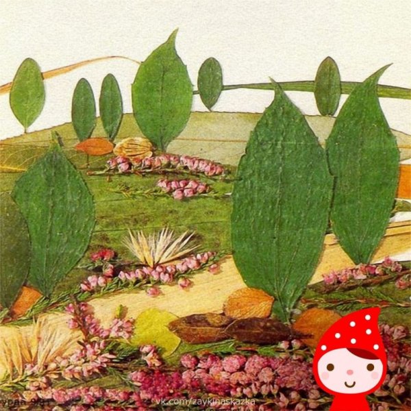 Гербарий из листьев