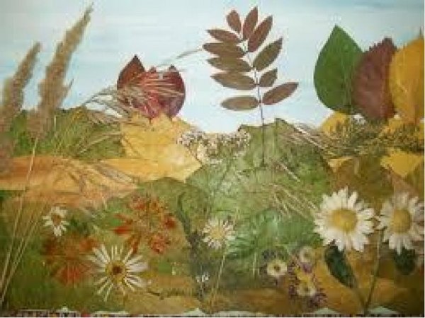 Ошибана природа