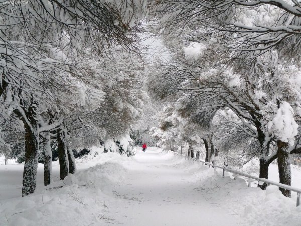 Зима в городе