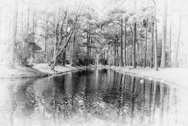 Живопись природа пейзаж черно белая