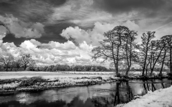 Ансель Адамс